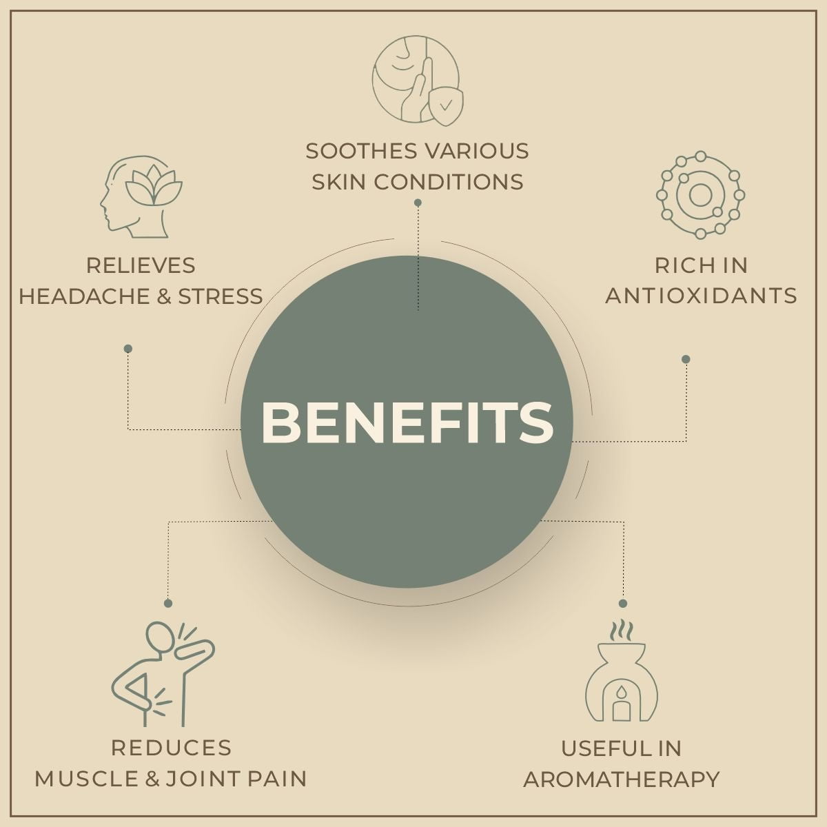 Salvia Natural Essential Oils White Pepper Essential Oil Salvia Natural Essential Oils White Pepper Essential Oil